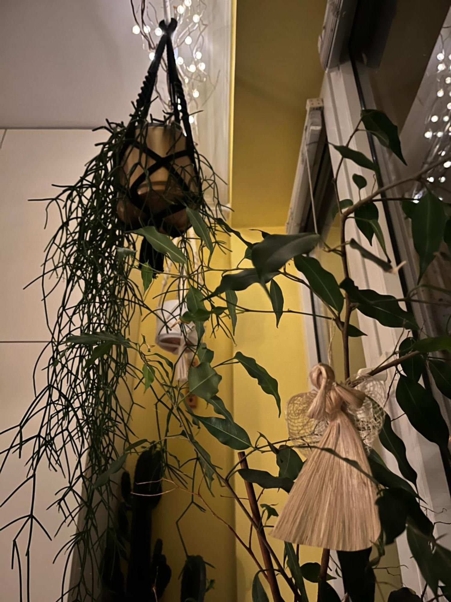 Greenthumb Praska Красков Екстериор снимка